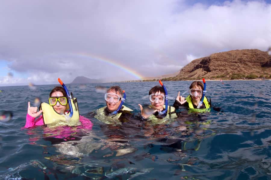 Oahu: Snorkeling & Dolphin Watch Cruise with Hawaiian Buffet - Key points to know before you go