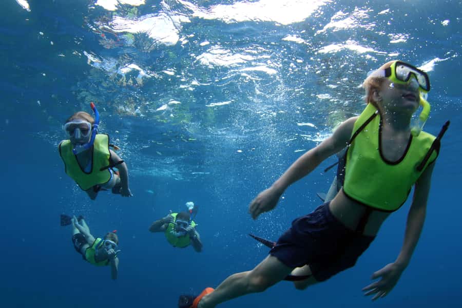 Oahu: Snorkeling & Dolphin Watch Cruise with Hawaiian Buffet - What to Bring (So You’re Comfortable the Whole Time)
