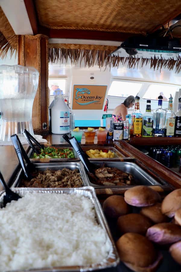 Oahu: Snorkeling & Dolphin Watch Cruise with Hawaiian Buffet - On-Water Wildlife: Dolphins, Whales, Turtles, and What to Expect