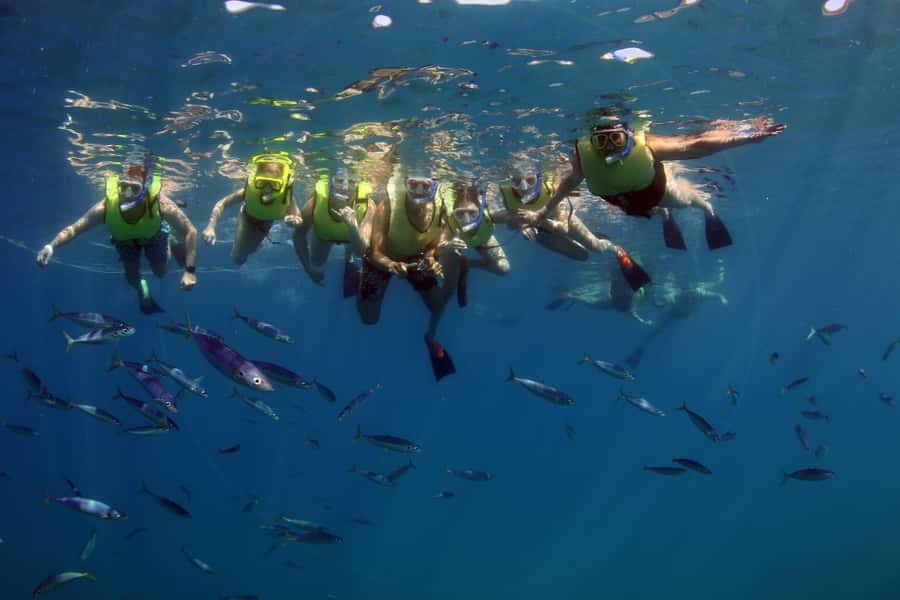 Oahu: Snorkeling & Dolphin Watch Cruise with Hawaiian Buffet - The Hawaiian Buffet and Tiki Bar Plan: Food That’s More Than a Snack