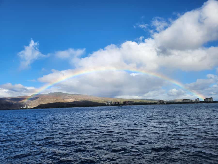 Oahu: Snorkeling & Dolphin Watch Cruise with Hawaiian Buffet - The 62 Catamaran Setup: Comfort You’ll Actually Notice
