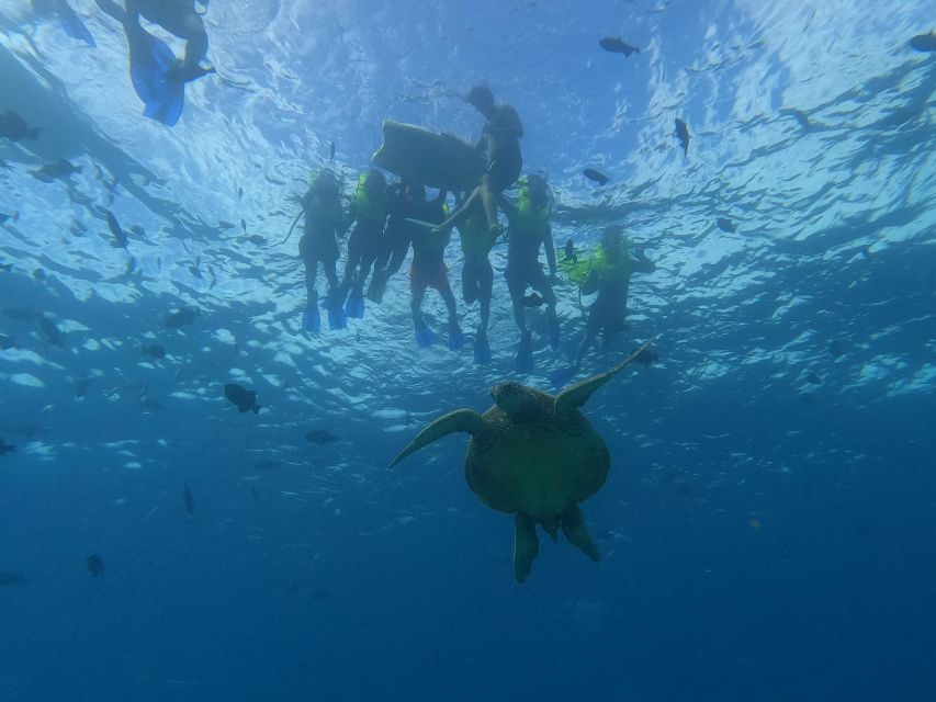 Oahu Snorkeling with Turtles, Water Scooter, Paddleboard - Key things to know before you go