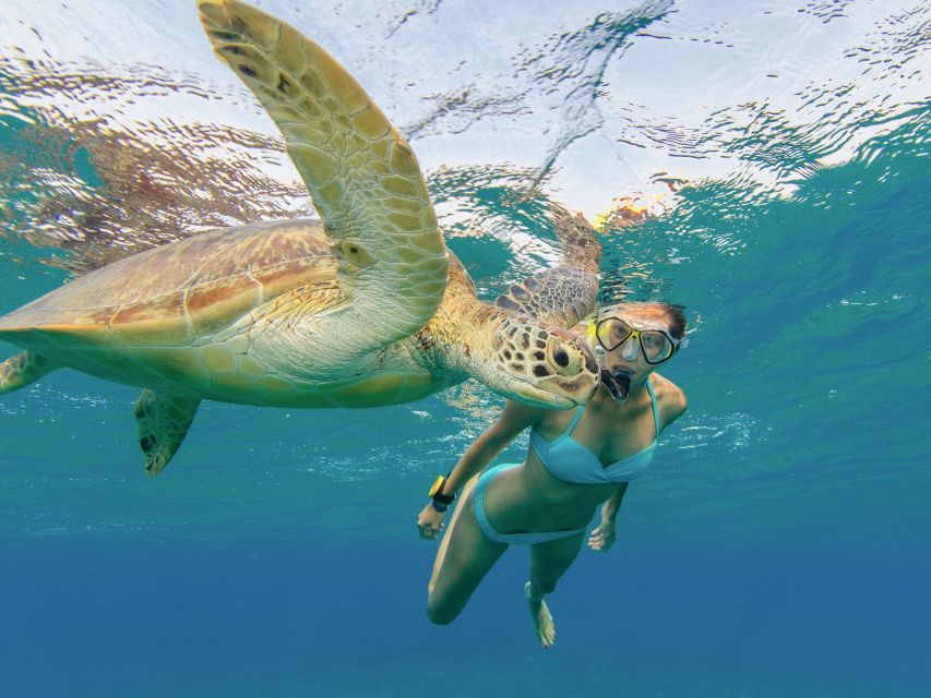 Oahu Snorkeling with Turtles, Water Scooter, Paddleboard - Electric-powered water scooter: the fun factor and the trade-offs