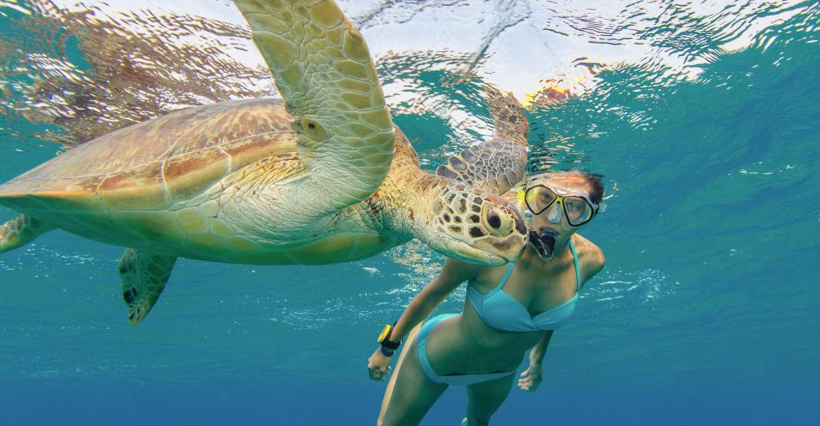 Oahu Snorkeling with Turtles, Water Scooter, Paddleboard - The food break that actually helps: musubi, cup noodles, and snacks