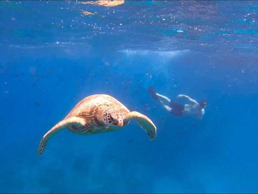 Oahu Snorkeling with Turtles, Water Scooter, Paddleboard - Price and value: does $120 make sense for this mix of activities?