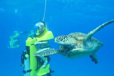 Oahu: Submarine Scooter Adventure - What you’ll see underwater: green sea turtles, tropical fish, and coral