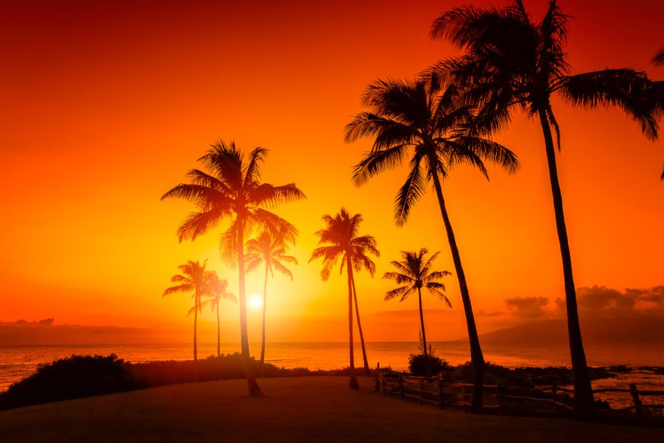 Oahu: Sunset Cruise of West Oahu with Drinks and Appetizers - What You Get: Pupus, Drinks, and the Catatonic Signature