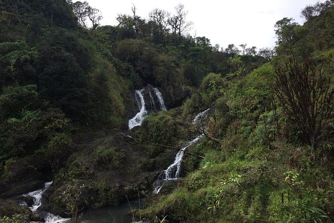 Oahu to Maui 1 Day Trip : Road to Hana Day Trip from Oahu with Air Ticket - Inter-Island Convenience: How the Oahu-to-Maui Day Works