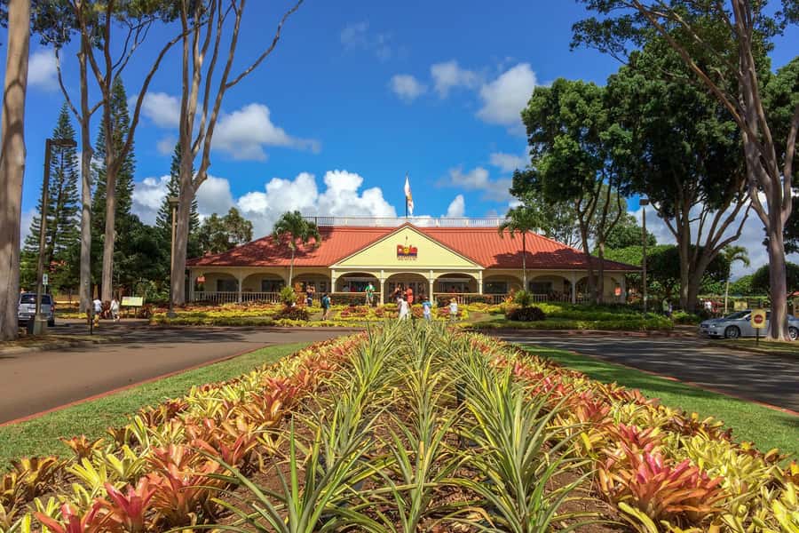 Oahu: Ultimate Pearl Harbor and Circle Island Tour - A full Oʻahu sampler: history, surf names, and cliff views