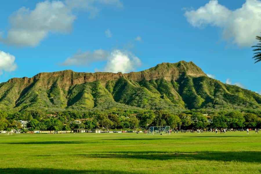 Oahu: Ultimate Pearl Harbor and Circle Island Tour - Dole Plantation break: snacks, koi, and a palate reset