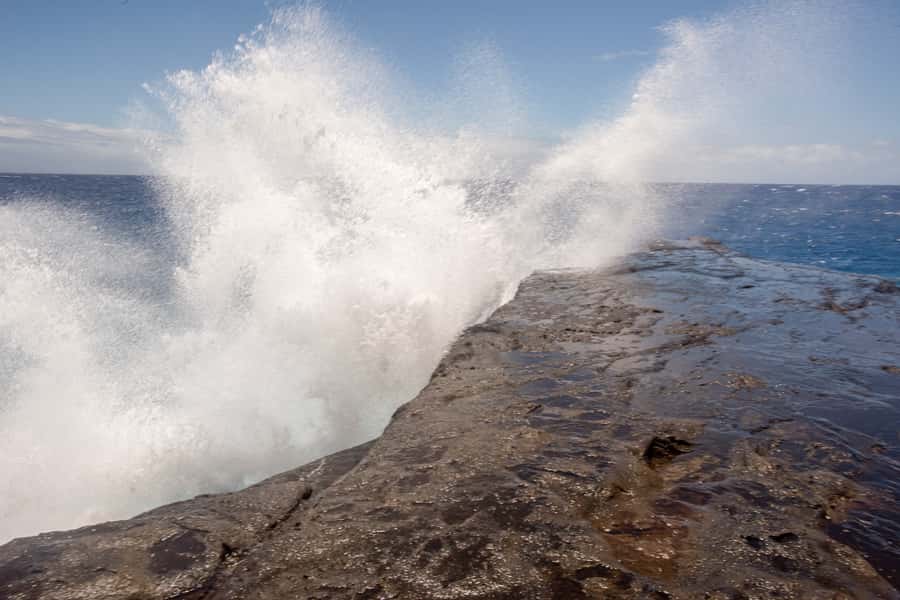 Oahu: Ultimate Pearl Harbor and Circle Island Tour - North Shore: surf culture with actual context, not just names