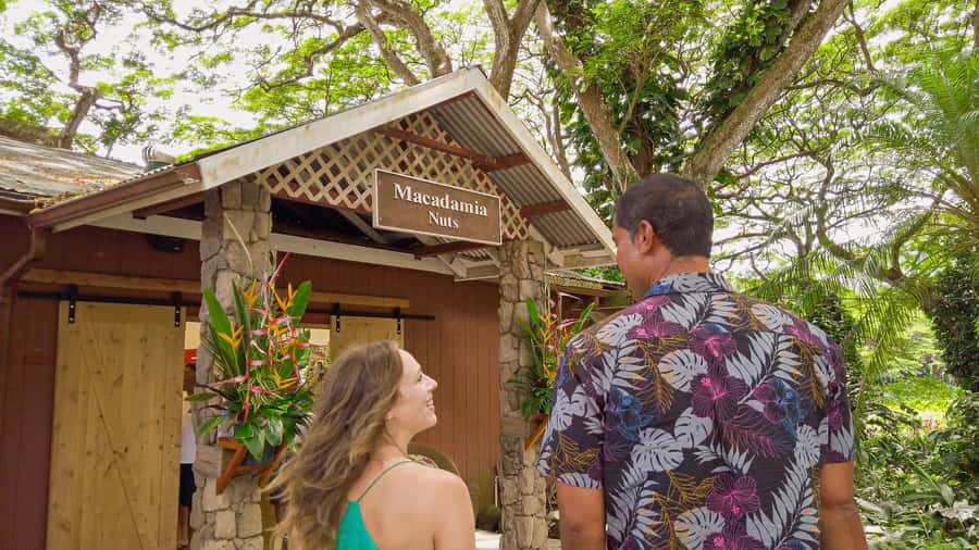 Oahu: Ultimate Pearl Harbor and Circle Island Tour - Tropical Farms macadamia stop: small time, useful souvenir strategy