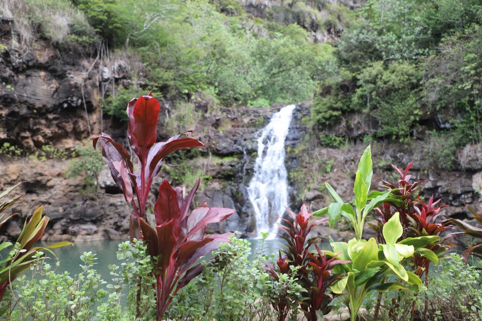 Oahu: Valley of Waimea Falls Swim & Hike with Lunch & Dole - Starting the Day at Green World Coffee Farm (Breakfast With a View)