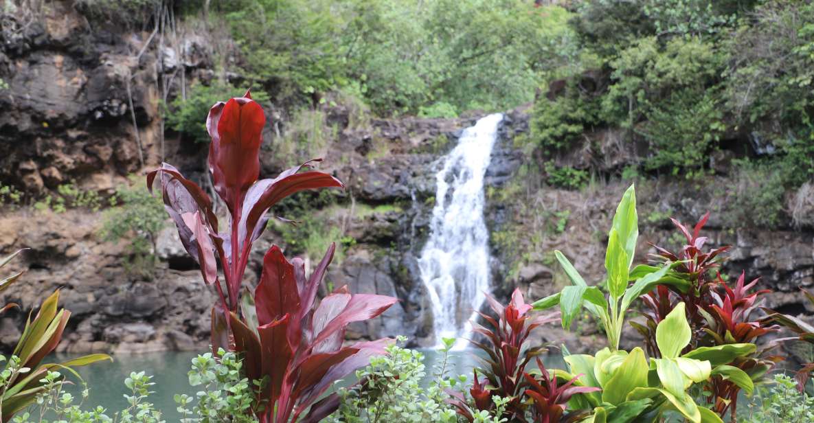 Oahu: Valley of Waimea Falls Swim & Hike with Lunch & Dole - Reaching Waimea Falls: Time for a Real Waterfall Swim