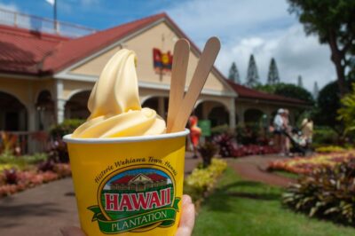 Oahu: Valley of Waimea Falls Swim & Hike with Lunch & Dole - The Waimea Valley Hike: Easy Distance, Big Variety