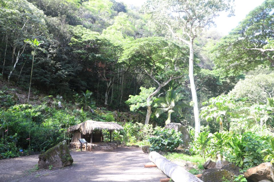 Oahu: Valley of Waimea Falls Swim & Hike with Lunch & Dole - Waimea Valley Lunch: Picnic Style, Actually Filling