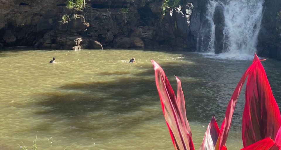 Oahu: Valley of Waimea Falls Swim & Hike with Lunch & Dole - Timing and Transport: The Waikiki Pickup Makes It Feasible