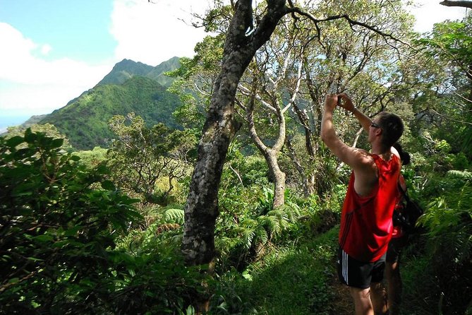 Oahu Volcanic Rainforest Hiking Adventure - Key things I’d circle before you go