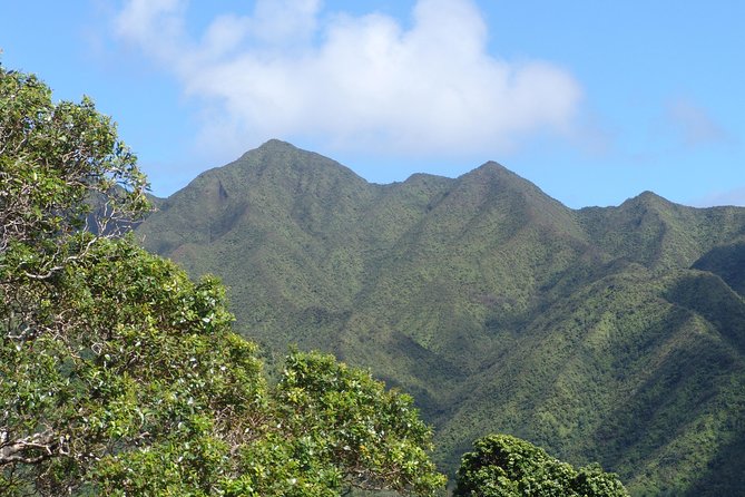 Oahu Volcanic Rainforest Hiking Adventure - Ko‘olau volcanic rainforest hike: what you’re really signing up for