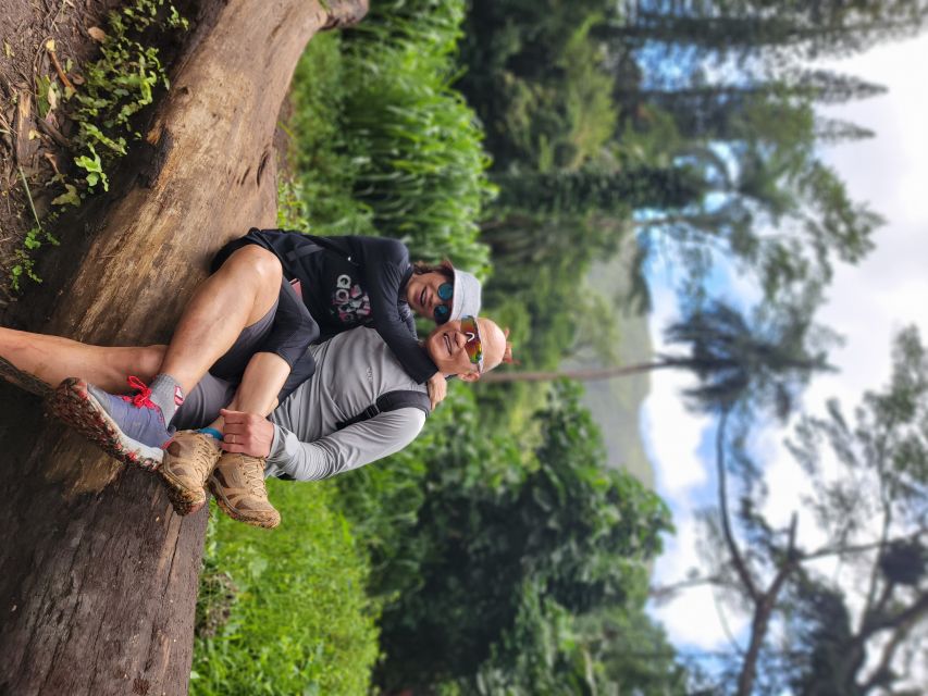 Oahu: Waikiki E-Bike Ride and Manoa Falls Hike - Tips to make your day smoother (and more fun)