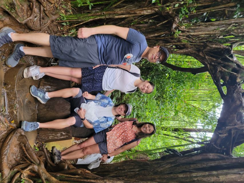 Oahu: Waikiki E-Bike Ride and Manoa Falls Hike - Optional shave ice: a classic end to a greener morning