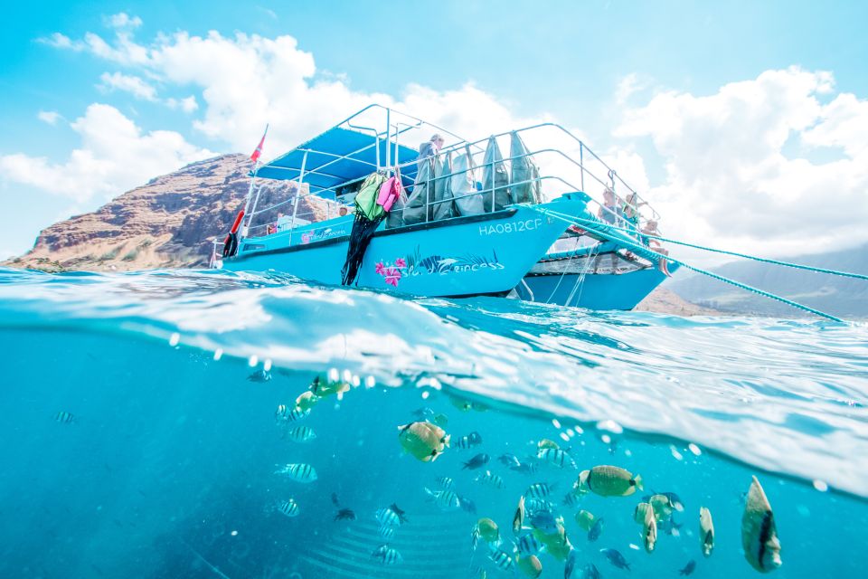 Oahu: Waikiki Turtle Snorkeling Adventure - Price and Value: Is $125 Worth It for Waikiki Turtles?
