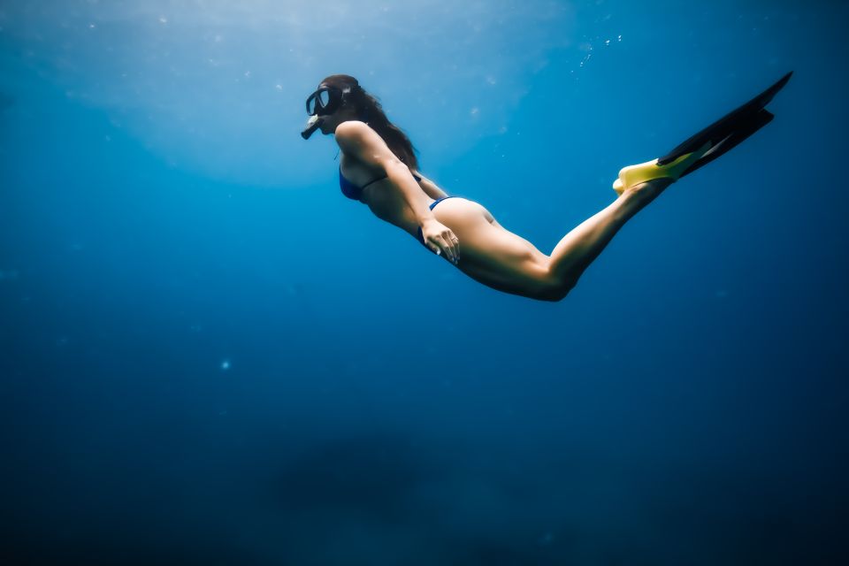 Oahu: Waikiki Turtle Snorkeling Adventure - Who This Tour Fits Best (and Who Should Rethink It)