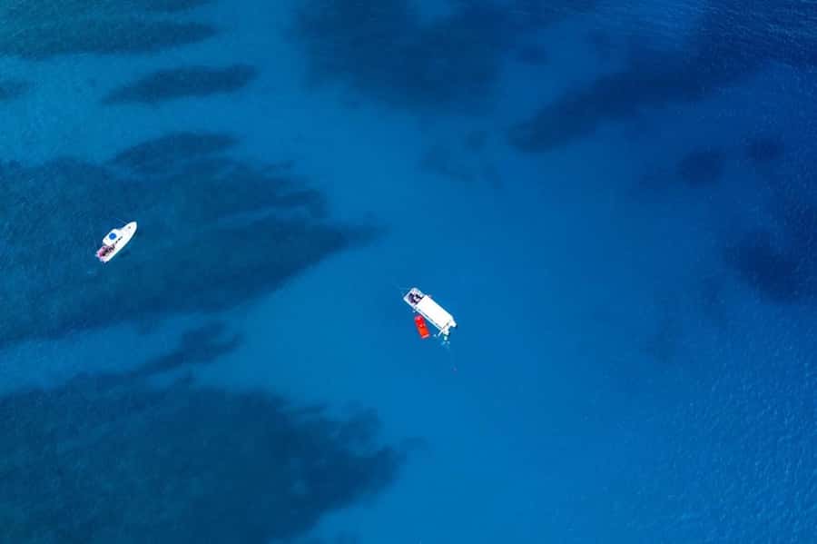Oahu: Waikiki Whale Watch Boat Tour - Why this 40-ft catamaran whale watch feels right for first-timers