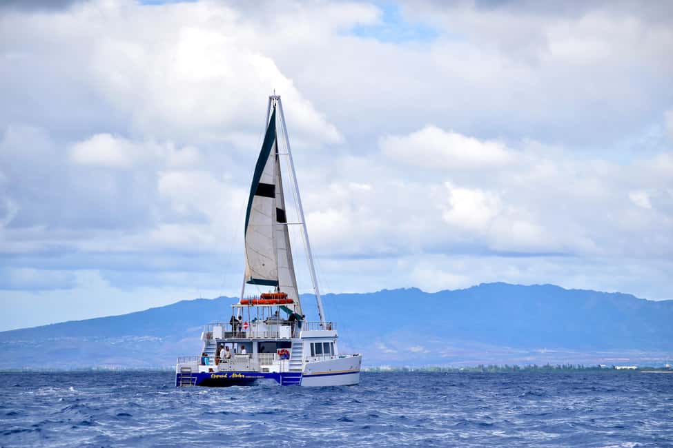 Oahu: Waikiki Whale Watching Cruise - How the Underwater Viewing Room Changes the Whole Experience