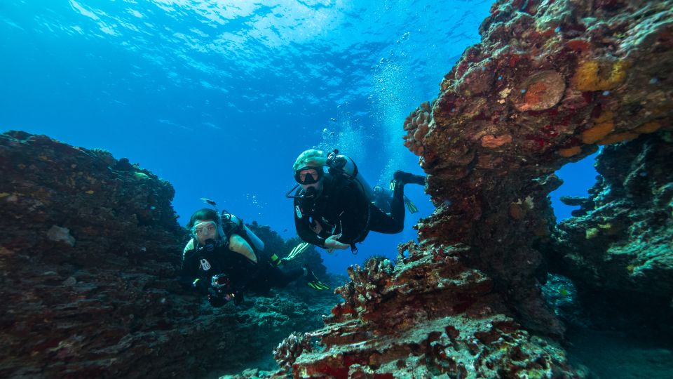Oahu: Wreck & Reef Scuba Dive for Certified Divers - Your Wreck Choice: Sea Tiger vs YO-257 and San Pedro