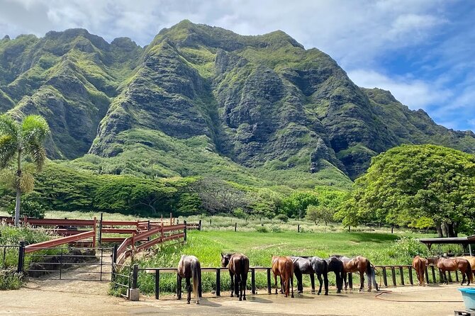 Oahu's Fun and Foodie Tour Groups of 5 or more Only! - Kualoa Ranch Private Nature Reserve: sacred land and working place