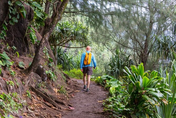 Oahu's North Shore Self-Guided Audio Tour - Key things I’d bet on (before you go)