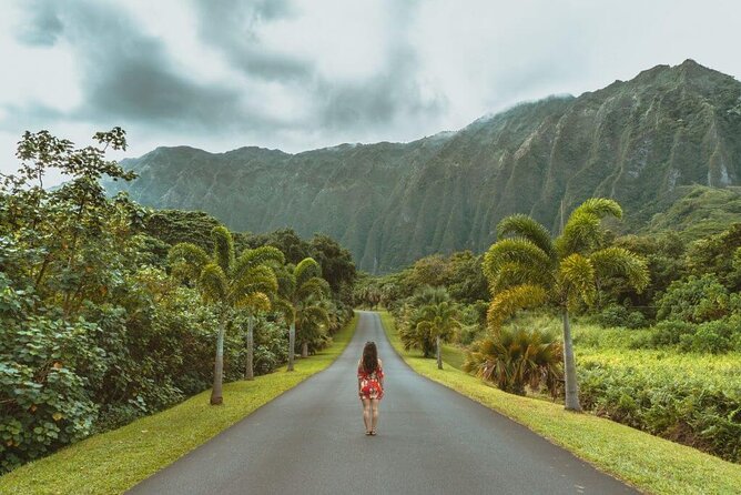 Oahu's North Shore Self-Guided Audio Tour - North Shore town feel: Dole Plantation, Haleiwa, and shave ice