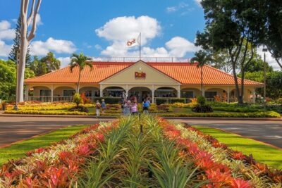 Oahu's Ultimate Grand Circle Island Tour with Snorkeling and More - Diamond Head Lookout and Eastern Oahu Views: Fast Stops, Real Payoff