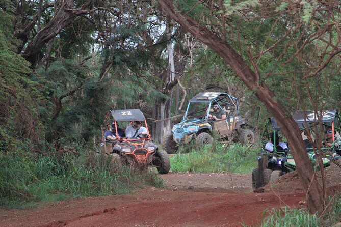 Off-Road ATV & 3 Zipline Combo (Optional Waikiki Shuttle) - FAQ