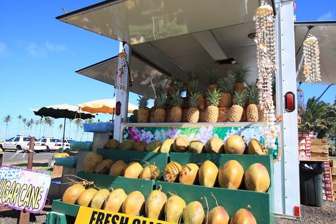 One-Day Tour Hawaii Movie Tour: Island Hopping from Oahu to Kauai - Ahukini State Recreational Pier: Donovan’s Reef and Pagan Love Song