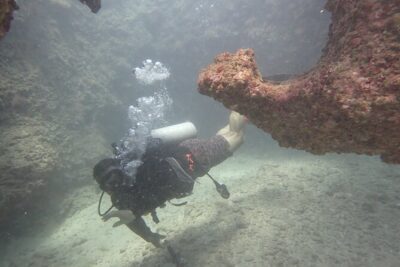 Open Water Scuba Certification - Meeting Point and Timing: Plan Around a 7:00 AM Start