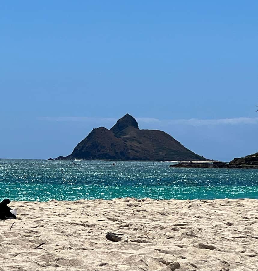 Pearl Harbor and Scenic Oahu Private Tour - Picking up the day: private van, real flexibility