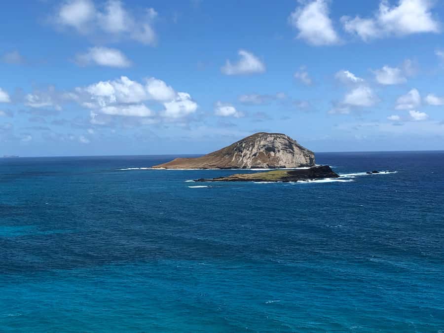 Pearl Harbor and Scenic Oahu Private Tour - The North Shore route: Dole Plantation to Haleiwa to Kahuku