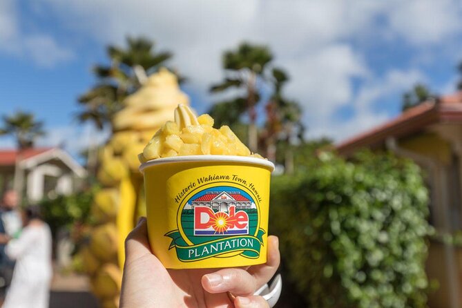 Pearl Harbor, Dole Plantation, and Polynesian Center from Kona - Pearl Harbor Historic Sites: exhibits, the 23-minute film, and the short boat ride