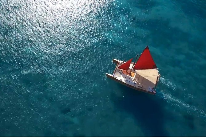 Polynesian Canoe Morning Sail - Wildlife odds: turtles, dolphins, and maybe a whale