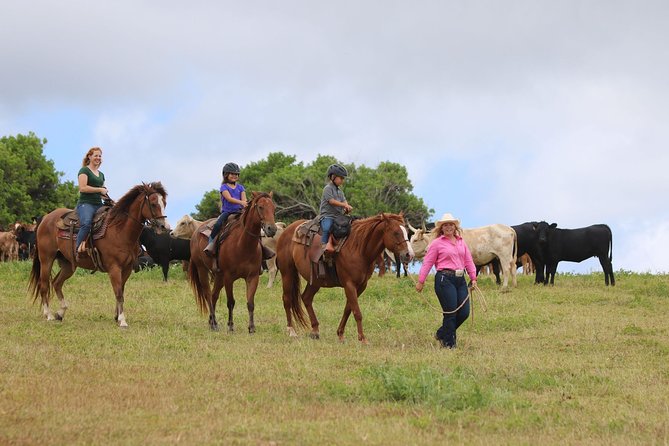 Pony Rides For Kids - How Check-In, Helmets, and Weight Rules Work for Families