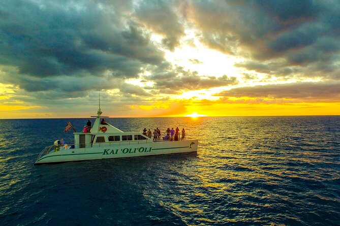Premium Snorkel Sunset Cruise with Whale and Dolphin Watch - Key Things You’ll Remember