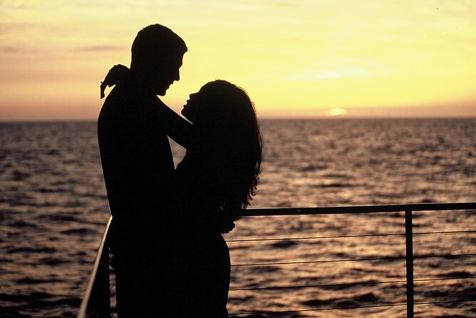 Premium Snorkel Sunset Cruise with Whale and Dolphin Watch - Dolphin Chances: How Often You Should Expect to See Them