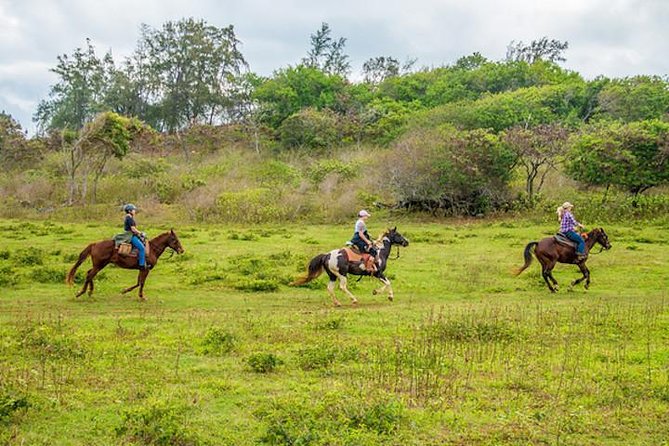 Private Advanced Trail Ride - Key Things You’ll Notice Right Away