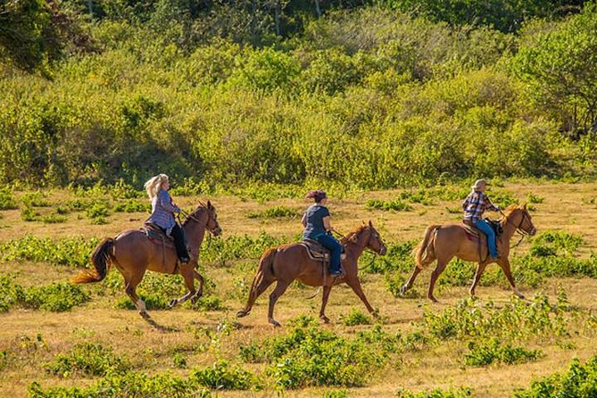 Private Advanced Trail Ride - What Happens During the 1.5-Hour Ride