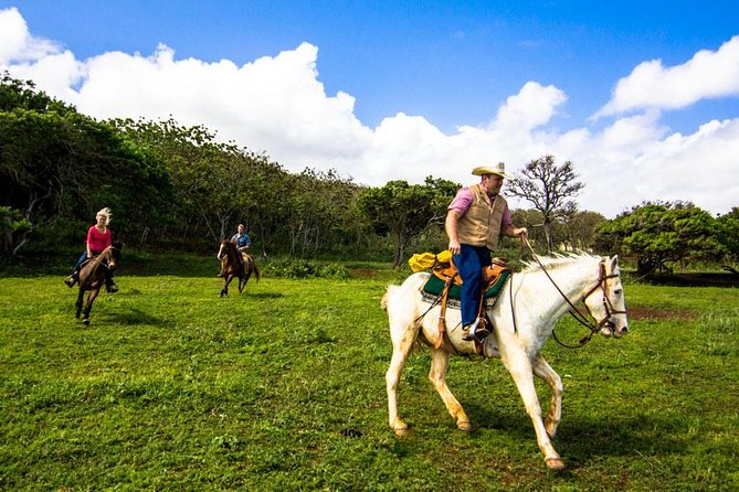 Private Advanced Trail Ride - Should You Book This Private Advanced Trail Ride?