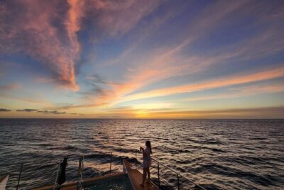 Private and Luxurious Sunset Cruise with Whale & Dolphin Watch - Snorkeling Off Oahu’s West Coast: What you’ll actually do