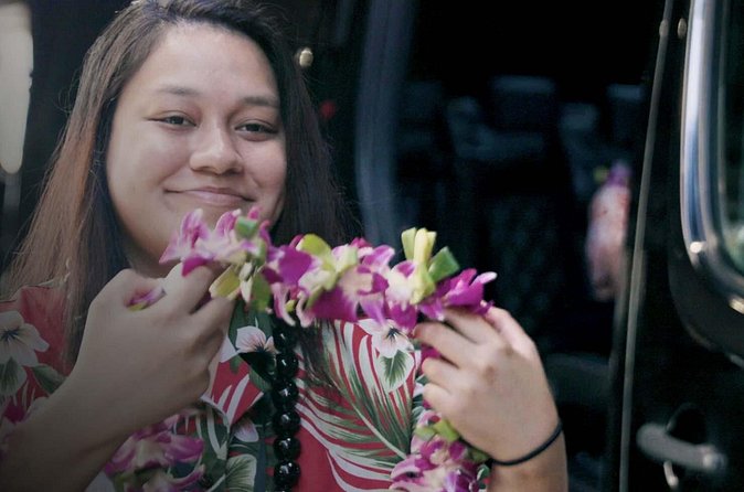 Private Arrival Transfer: Honolulu International Airport to Oahu Hotels or Cruise Terminal - Timing and 24/7 service: the real win for late flights and cruise days