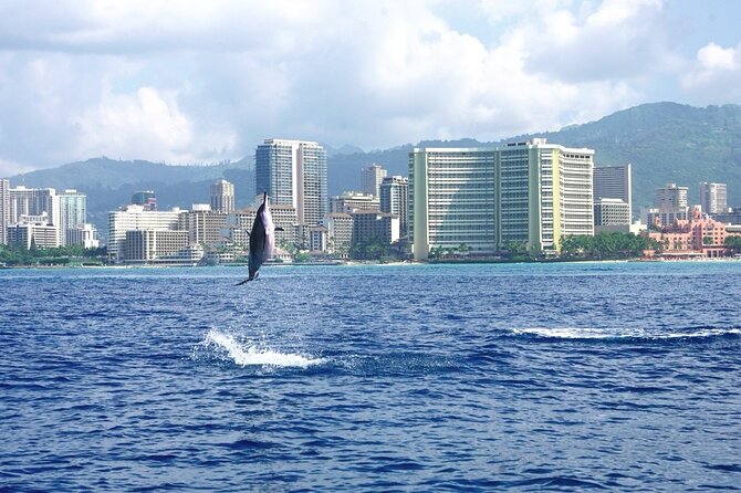 Private Boat Charter in Waikiki for Snorkeling and Events - Weather Reality: What Happens When Conditions Aren’t Perfect